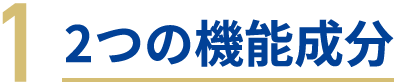 1 2つの機能成分